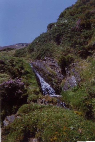 Picos de Europa