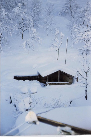 Nieve en Liebana 2