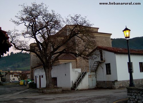 El arbol Centenario