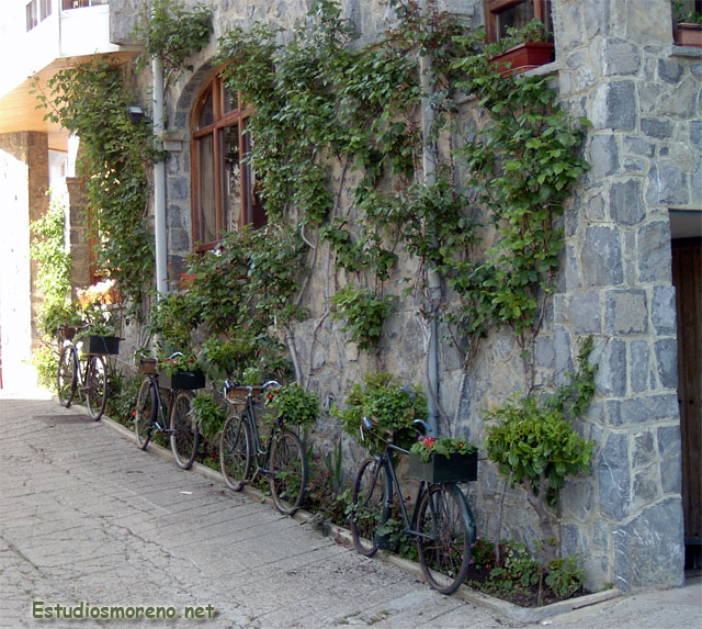 Jardineras en bicis antiguas