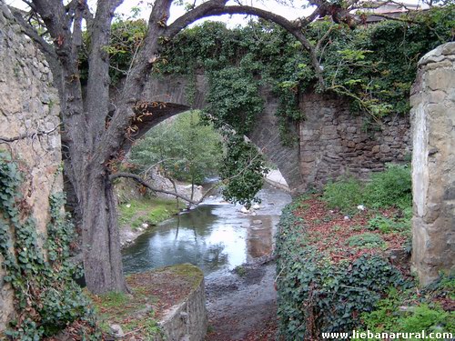 El puente de San Cayetano 2