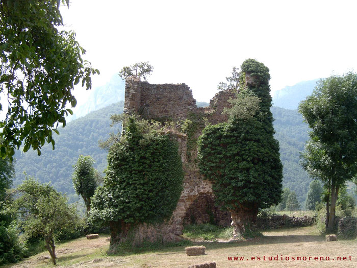 torres de TORANZO en Vega de Liébana