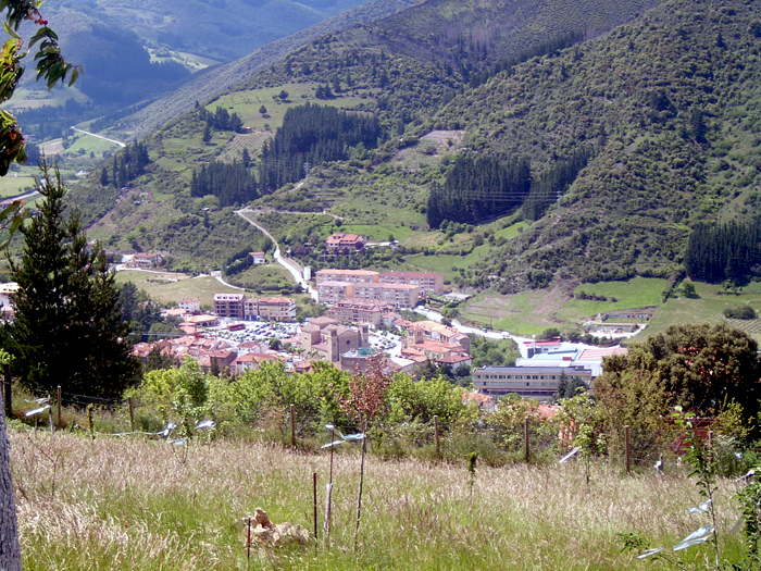 Vista de Potes desde el Monte (Picos de Europa)