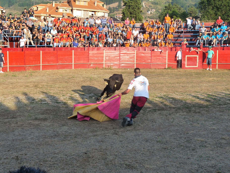 Fiestas de la cruz 2010 al quite