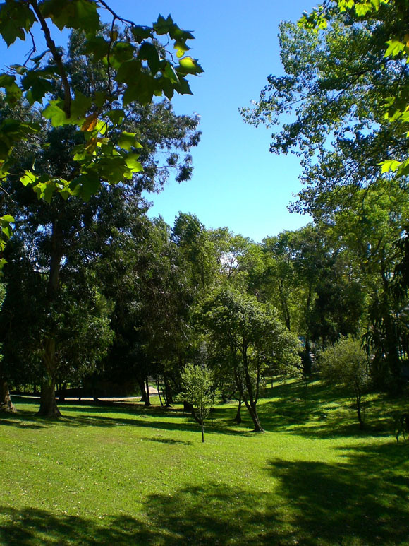Parque Mataleñas (1)
