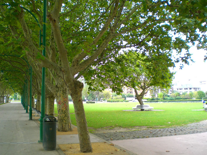 Parque Mesones (1)