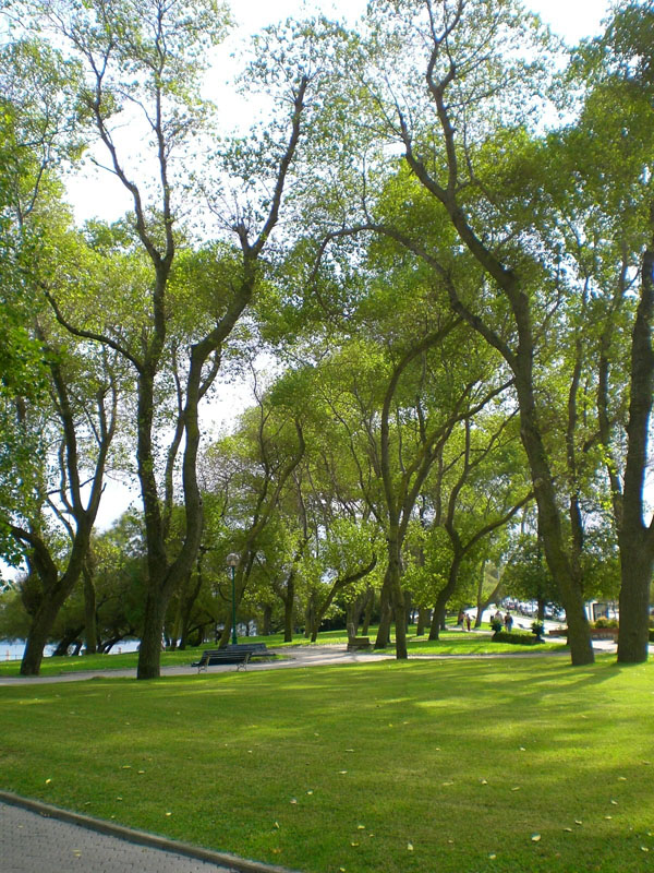 Parque Mesones (2)