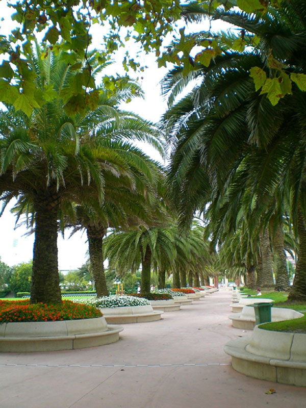 Parque Mesones (3)
