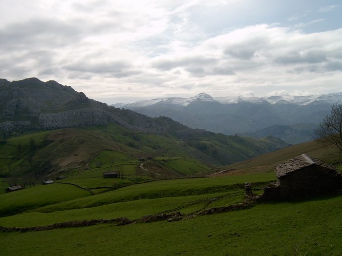 Vista en la Subida al Camino de Miera (vega de pas)