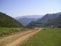 El Prao Toro (Dobres) Al fondo Peña Sagra