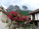 Flores en barago‏