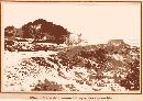 1885 - Paseo de Ramón Pelayo.